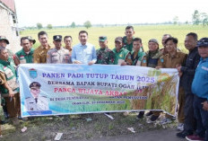 Bupati Ogan Ilir Hadiri Panen Tutup Tahun 2025, Komitmen Dukung Ketahanan Pangan & Modernisasi Pertanian