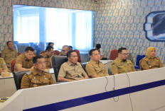 Optimalisasi Aset Daerah Dibahas di Rapat Komisi II DPR RI, Ratu Dewa Tekankan Peningkatan PAD Palembang