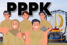 Horee! PPPK Paruh Waktu Terima Tunjangan Transportasi Ini Syaratnya