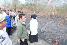 Gerak Cepat di PALI, Herman Deru Kerahkan Water Bombing dan Tebalkan Pasukan Darat Atasi Asap