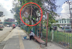 Keluhkan Halte Rusak Parah di Jalan Ahmad Yani Palembang, Atap Seng Menjuntai Ancam Keselamatan Pengguna