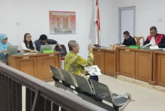 Sidang Gugatan Kabut Asap Karhutla Sinarmas Group Berlanjut, Ahli Sebut Merugikan Keanekaragaman Hayati