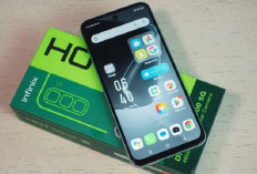 HP Infinix 2 Jutaan: Hot 50 Pro atau Hot 50 Pro+, Mana yang Lebih Menarik?