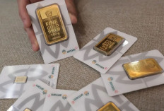 Harga Emas Antam 8 Mei 2026, Hari Ini Turun Tipis Dibanding Kemarin!