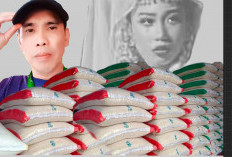 Terungkap, Pengantin Perempuan Minta Cerai Ada Minta Tambahan 100 Kg Beras Buat Hajatan