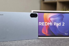 Harga Redmi Pad 2 Terbaru! Tablet Xiaomi 1 Jutaan dengan Performa Kencang, Baterai Awet