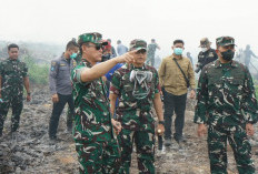 Minta Camat Kades Bantu Sosialisasi Edukasi Masyarakat Larangan Buka Lahan Membakar