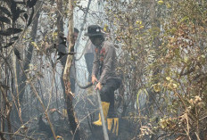 Hadapi Lahan Gambut, Subsatgas Posko Tulung Selapan Intensifkan Pemadaman Karhutla