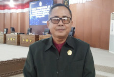 DPRD Ogan Ilir Bakal Panggil Kadin Pertanian, Terkait Program Cetak Sawah yang Terancam Gagal