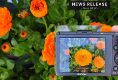 Legend is Back, Ricoh GR IV Kamera Saku Minimalis dengan Autofokus Hybrid dan Stabilisasi 5-Sumbu