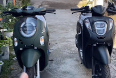 Pengen Beli Scoopy Tapi Harganya Kemahalan, Pilih Kembarannya Genio Punya Warna Spesial 2026