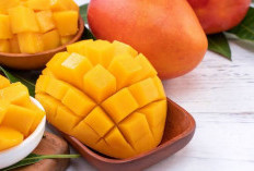 5 Rekomendasi Buah Mangga dengan Cita Rasa Manis yang Menggugah Selera