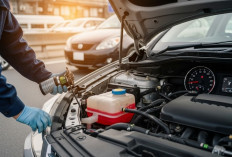 Mesin Mobil Cepat Panas Saat Macet? Radiator Bermasalah Bisa Jadi Penyebab Utamanya