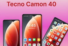 Rekomendasi 3 Hape Punya Kamera Ultrawide di Range Harga Rp 2-3 Jutaan