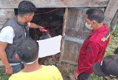 3 Hari Tidak Tampak, Jasad Lansia Ditemukan di Gubuk: ‘Selama Ini Memang Hidup Seorang Diri’  