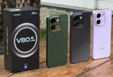Vivo V80 Lite 5G Hadir dengan Dibekali Kamera 50MP dan  Jaringan 5G