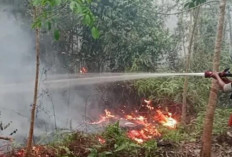 Karhutla Capai 60 Hektare, Suplai 9.000 Liter Air Dikerahkan