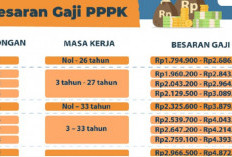 Horee! Tenaga Honorer yang Diangkat PPPK Akan Nikmati Gaji Baru Sesuai Perpres No 11 Tahun 2024