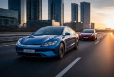Muncul Mengguncang, Mobil BYD Resmi Kalahkan Tesla di Eropa, Elon Musk Meradang?