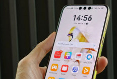 Rilis Baru 2 Minggu Huawei Mate 80 Pro Sudah Laku 800 Ribu Unit Berkat True to Color 2.0