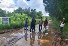 Wabup Ogan Ilir Tinjau Jalan Rusak yang Viral di Rengas Payaraman, Pastikan Segera Ditanggulangi