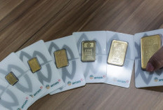 Update Harga Emas Antam 19 Juni 2026: Daftar Lengkap dari 0,5 Gram hingga 1 Kg