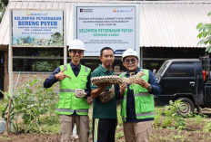 Program Desa Impian Antarkan PTBA Raih Penghargaan Internasional