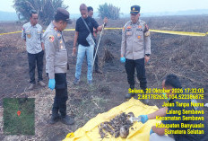 Benda Mirip Tengkorak Manusia Ditemukan di Lokasi Karhutla