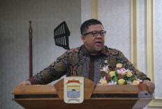 Wamen Fahri Hamzah Sebut Palembang Akan Menjadi Kota Termaju di Indonesia, Ini Alasannya 
