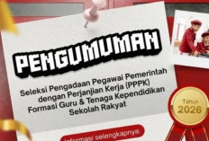 PPPK Kemensos 2026 Dibuka Besar-Besaran, Wali Asuh hingga Tenaga Administrasi Dibutuhkan