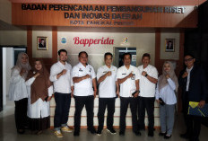 Nanas Tuatunu Berpeluang Jadi Produk Unggulan,  Berstatus Indikasi Geografis