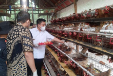 Perkuat Rantai Ekonomi Desa, Bupati Ogan Ilir Dorong SPPG Kerjasama dengan BUMDes untuk Suplai Bahan Baku