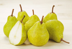 Inilah Manfaat Buah Pir yang Banyak Orang Harus Tahu!Ragam Vitamin untuk Solusi Kesehatan