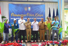 Tanam Bibit Pohon Kelapa Serentak, Wali Kota Ratu Dewa Sukseskan Program Nasional
