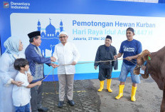 Semangat Idul Adha 1447 H, BRI Group Distribusikan 5000 Lebih Hewan Kurban ke Berbagai Daerah di Indonesia 