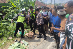 Polisi Ungkap Kronologis 1 Keluarga di Ogan Ilir Meregang Nyawa Usai Terlibat Lakalantas di Talang Balai Baru
