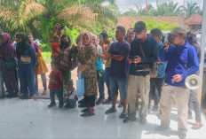 Ratusan Warga Geruduk Kantor Desa Padang Bindu, Uang Koperasi Plasma Sawit Belum Cair, Ternyata Sebabnya Ini? 