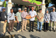 Sapi Simental 1,1 Ton Milik Peternak OKI Jadi Pilihan Kurban Presiden Prabowo