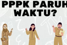 MenPAN RB Putuskan PPPK Paruh Waktu Dapatkan Beberapa Hak, Tenaga Honorer Dihapuskan 2025