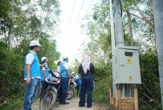 Jalankan Amanat Pemerintah, PLN Kawal Tuntas Pembangunan Infrastruktur Kelistrikan Desa Pedamaran Kabupaten OK