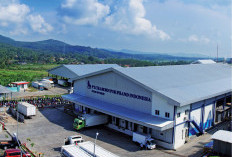 Hasil Penelitian Terbaru, Satgas CS-137 Akui Tak Ada Paparan Cesium di RPHU CPI