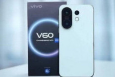 Spill Komplit Vivo V60, Desain Tipis Baterai Jumbo hingga Kamera Zeiss Jadi Andalan
