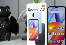 HP Murah Tapi Bukan Murahan Bang! Dibawa Kerja Digital, Cuan Mengalir di Tengah Gelombang Efisiensi 2025