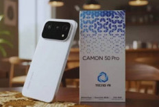 Tecno Camon 50 Pro Usung Tampilan Layar AMOLED dengan Kecerahan 3000 Nits