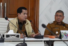 Gunakan Jasa Konsultan, Cek Kerusakan Jembatan Bentayan Banyuasin yang Ditabrak Tongkang Batu Bara