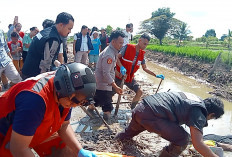 Warga Gandus Palembang Heboh Temukan Mayat Laki-laki di Sawah Sambil Pegang Alat Setrum 