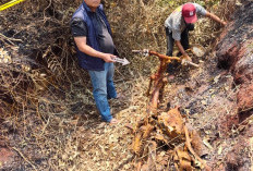 Misteri 5 Tahun Pecah! Kerangka Kakak-Adik Ditemukan di Rumah Kosong Banyuasin, 2 Terduga Pelaku Ditangkap