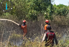 Kebakaran Lahan di Desa Permata Baru Ogan Ilir, Tim Gabungan Sigap Padamkan Api