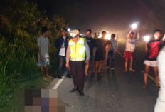 Mr X Ditemukan Terkapar di Jalinteng Indralaya-Prabumulih Ogan Ilir, Polisi Ungkap Korban Tabrak Lari