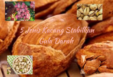 WAJIB TAHU, Ini 5 Jenis Kacang Bisa Menstabilkan Gula Darah, Rahasia Mengontrol Diabetes Tanpa Obat Mahal